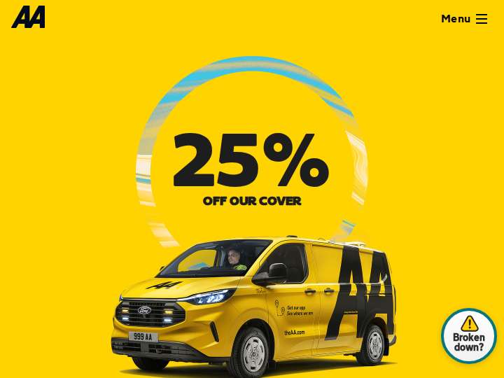 AA Loans website preview