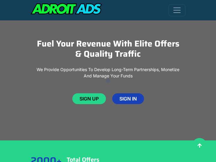 Adroit Ads website preview
