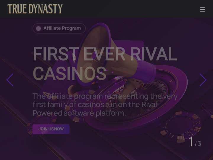 Aff Dynasty website preview