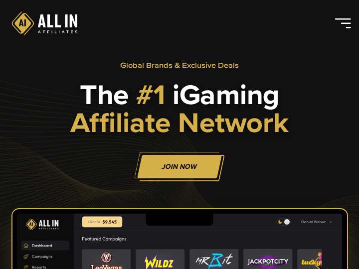 All In Affiliates website preview