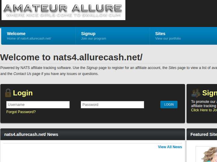 Allure Cash website preview