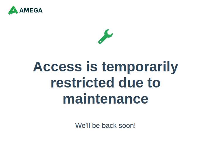 Amega Partners website preview