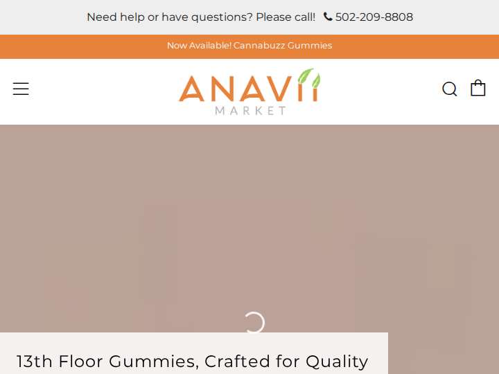 Anavii Market website preview