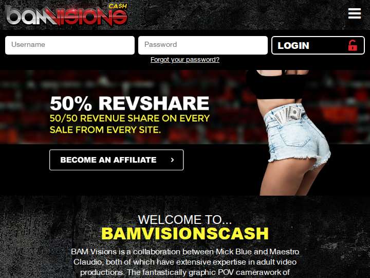BAM Visions Cash website preview