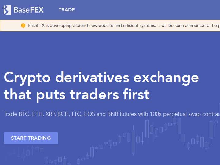 BaseFEX website preview