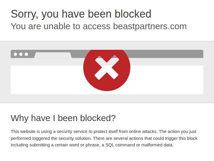 Beastpartners website preview