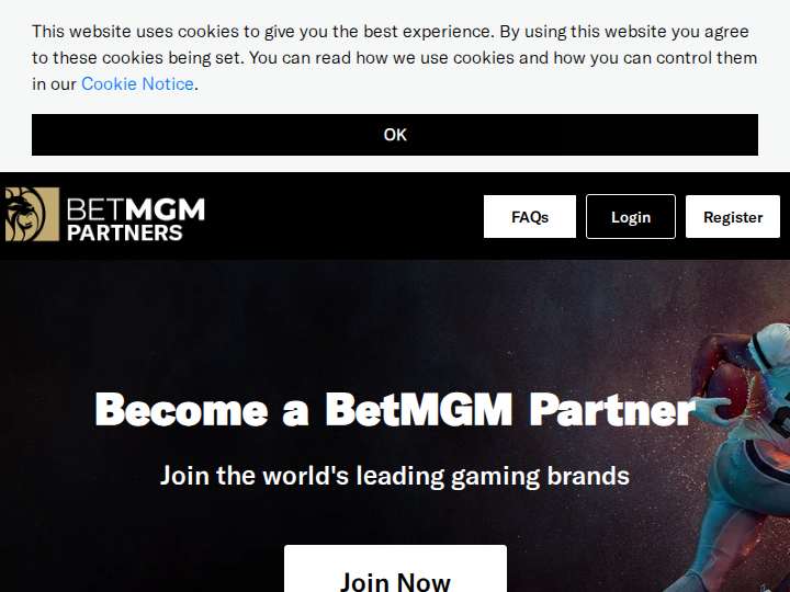 BetMGM Partners website preview