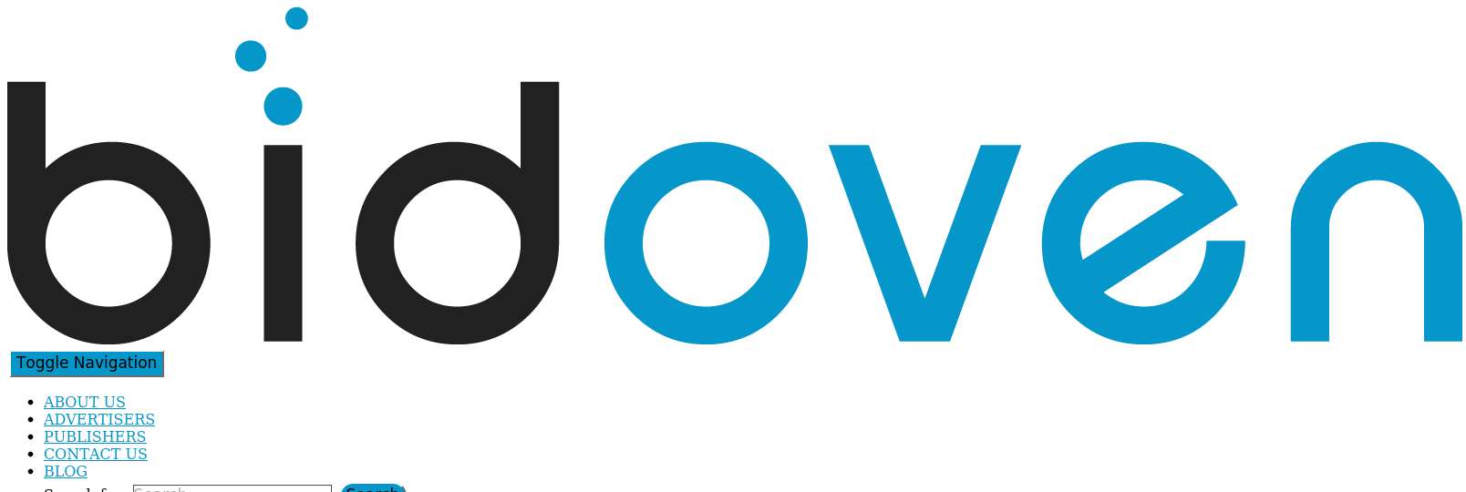 Bidoven DSP website preview
