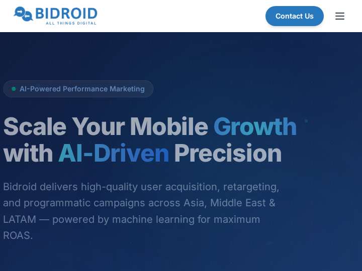 Bidroid website preview