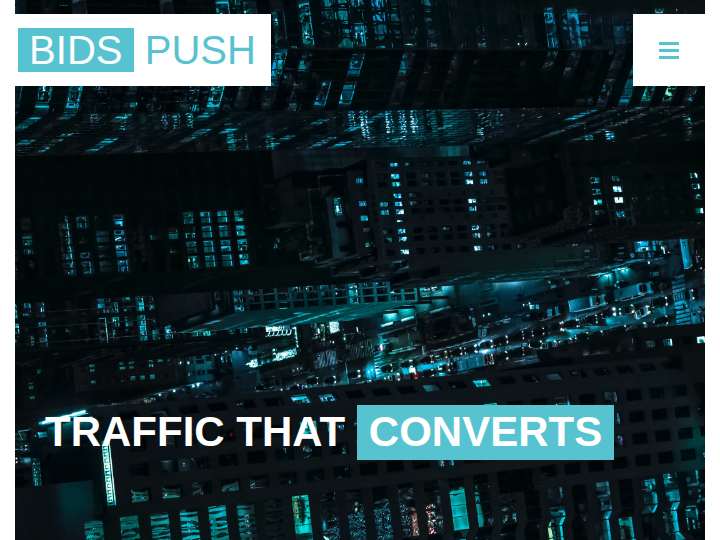 BidsPush website preview