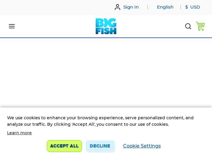 Big Fish Games website preview
