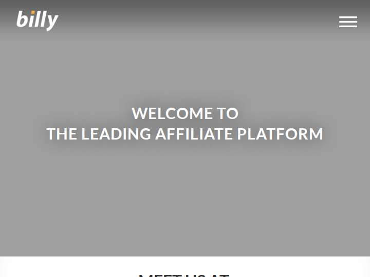 Billy Mobile website preview
