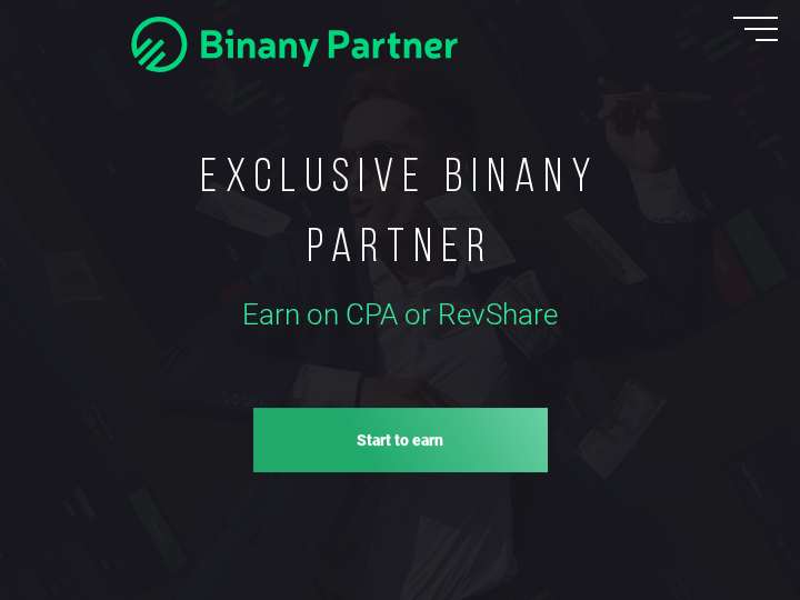 Binany Partner website preview
