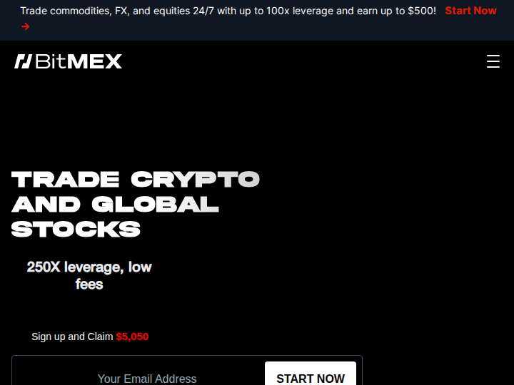 BitMEX website preview