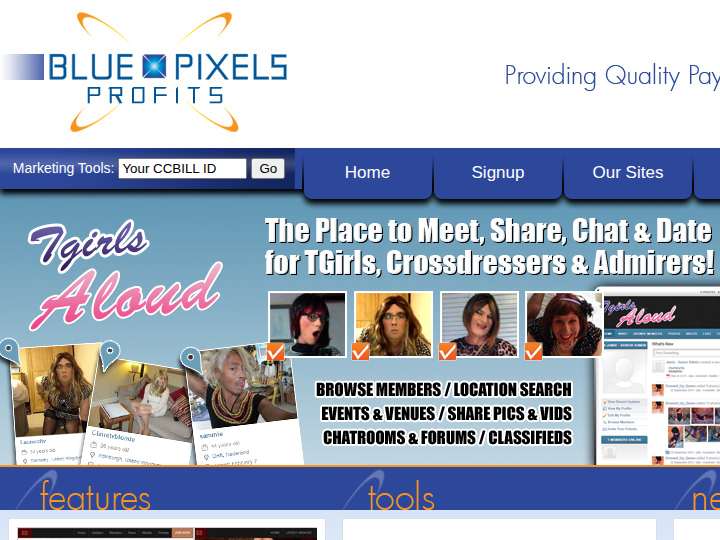 Blue Pixels Profits website preview