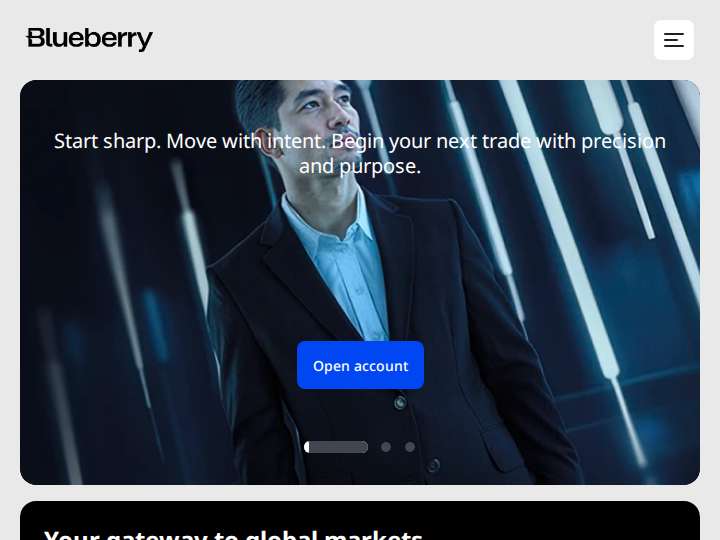 Blueberry Markets website preview