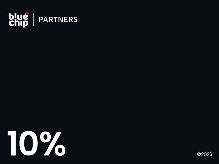Bluechip Partners website preview