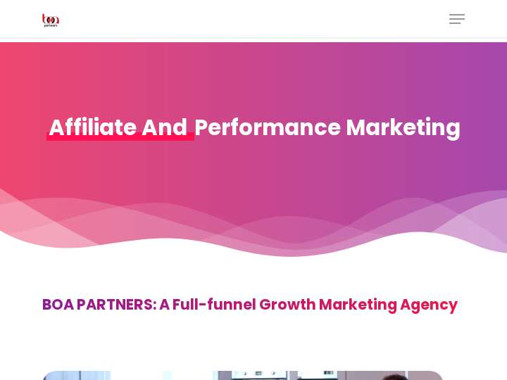 BOA Partners website preview