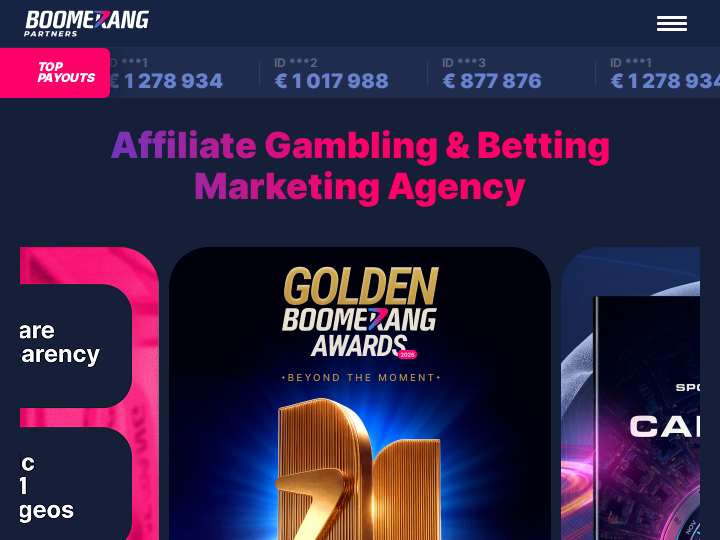 Boomerang Partners website preview
