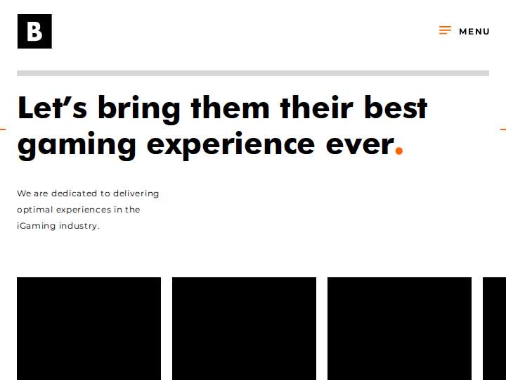 Branders Partners website preview