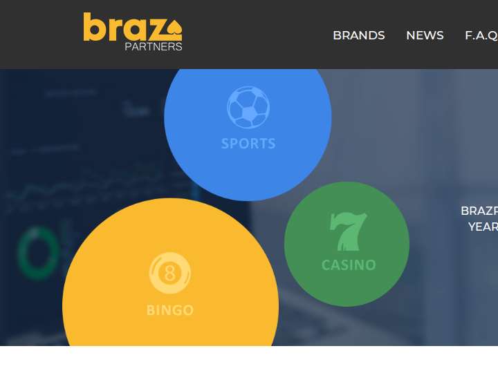 BrazPartners website preview