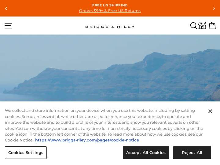 Briggs & Rile website preview