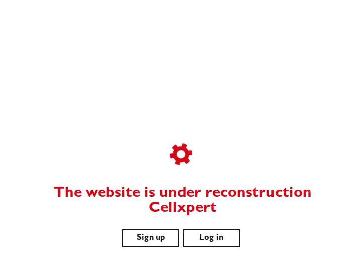 Chilli Partners website preview