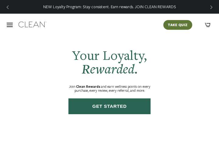 Clean Program website preview