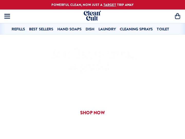 Cleancult website preview