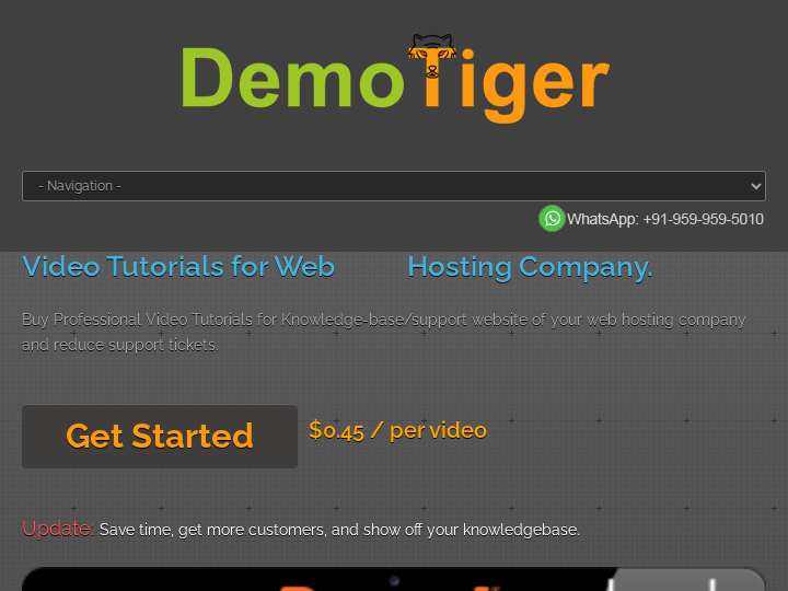 DemoTiger website preview