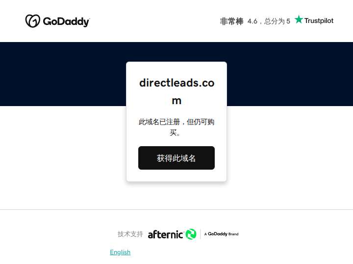 DirectLeads website preview
