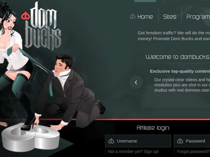 Dom Bucks website preview