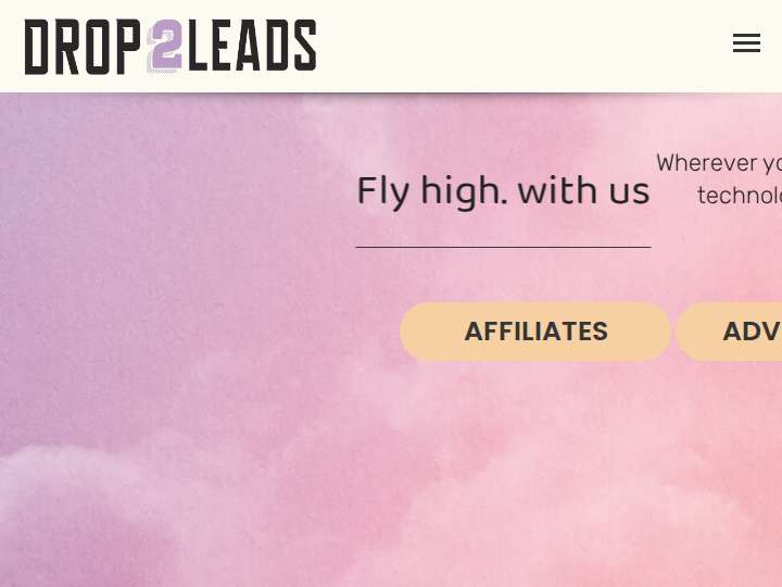 Drop2Leads website preview