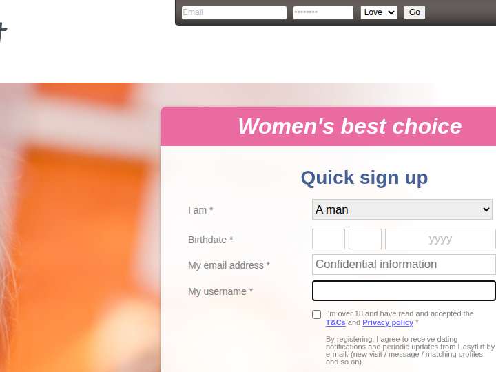 Easyflirt Partners website preview