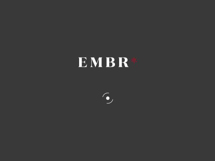 EMBR Group website preview