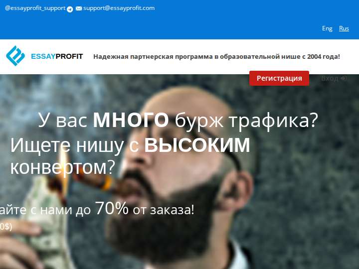 EssayProfit website preview