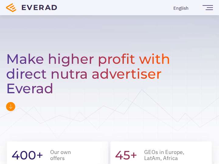 Everad website preview