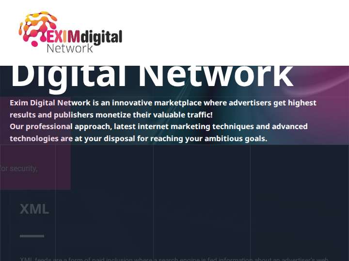 Exim Digital Network website preview