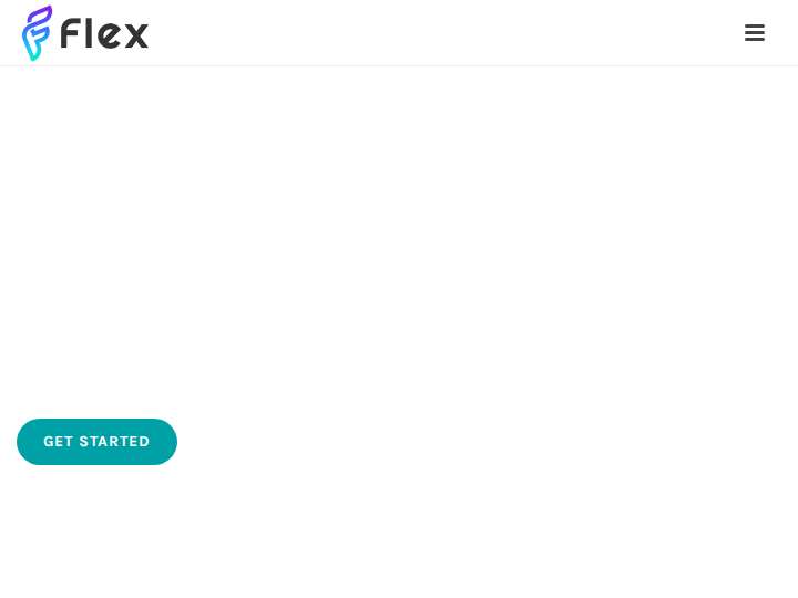 Flex Marketing Group website preview