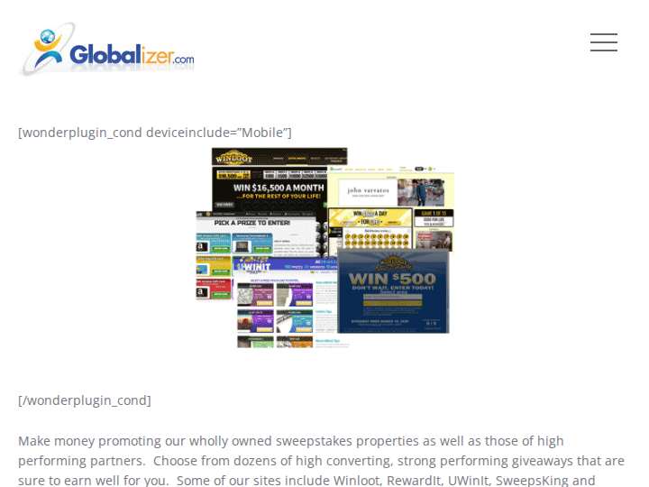 Globalizer website preview