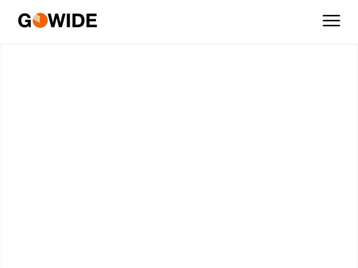 GOWIDE website preview