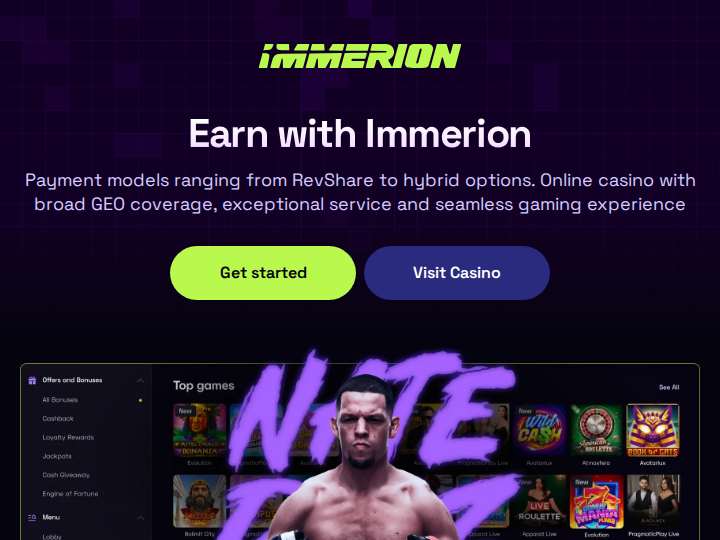Immerion Partners website preview