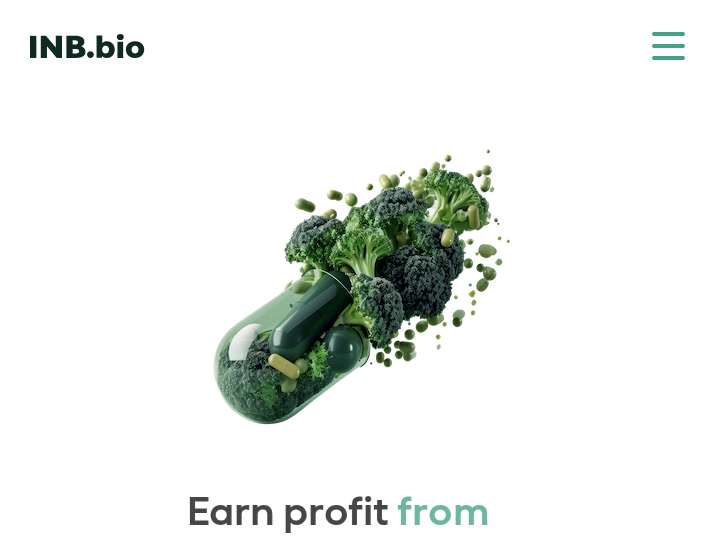 INB website preview