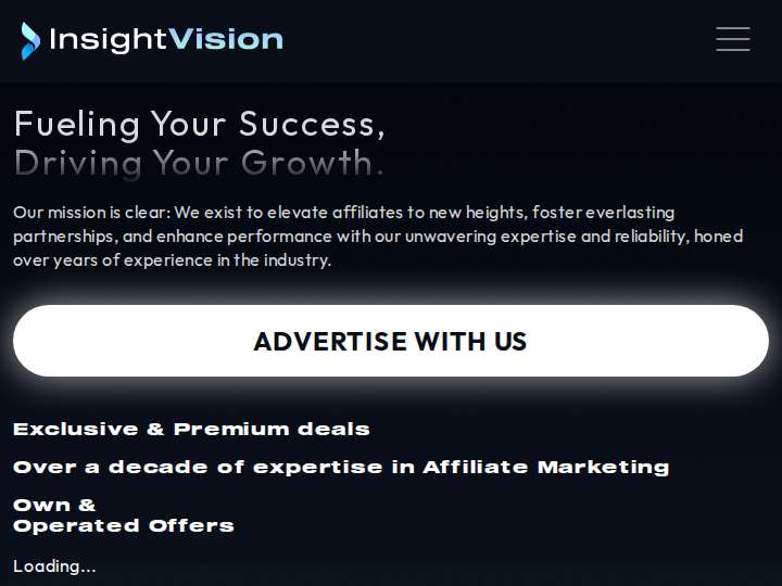 InsightVision website preview