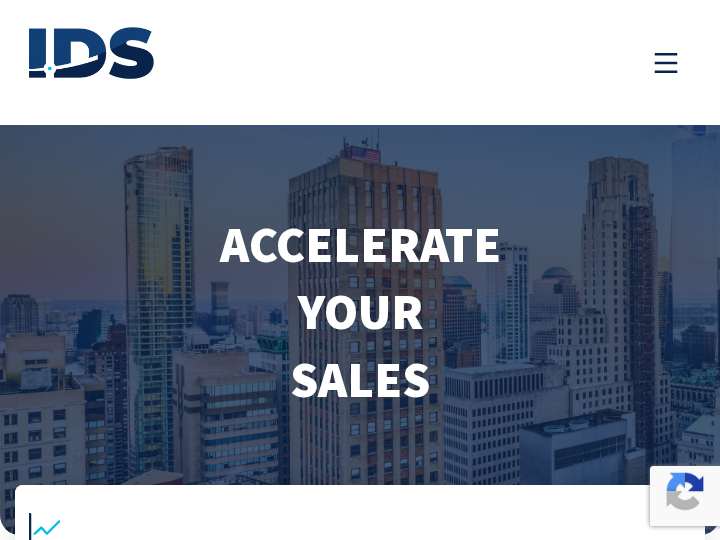 Integrated Data Solutions Group website preview
