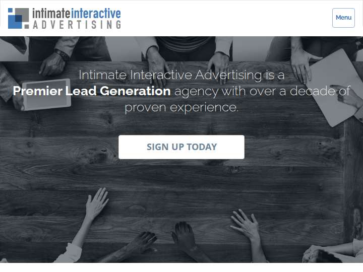 Intimate Interactive website preview