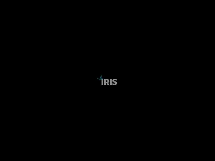 Iris Media website preview