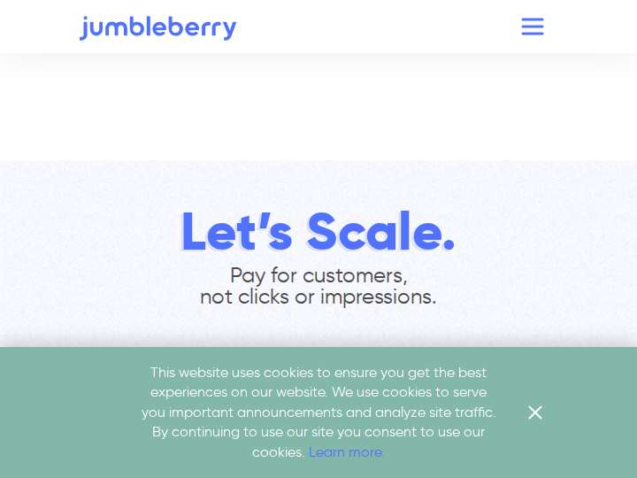 Jumbleberry website preview