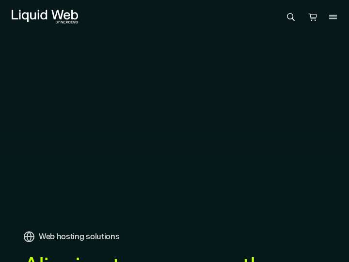 Liquid Web website preview