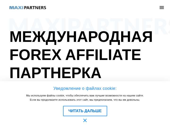 Maxipartners website preview
